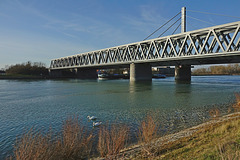 Rheinüber- und Brückenunterqueerung