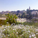 View from Mount Scopus  to the old city, in the back the Church of Dormition - PIP