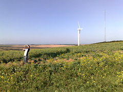 Windmill spotter I