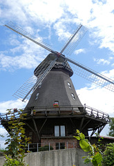 Windmühle "Moder Grau" (PiP)