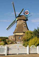 Windmühle "Auguste" (PiP)