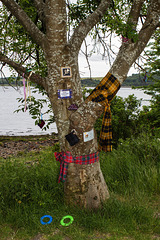 The Tartan Tree, Foreshore, Dumbarton