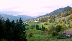 Elsass in 985 m Höhe