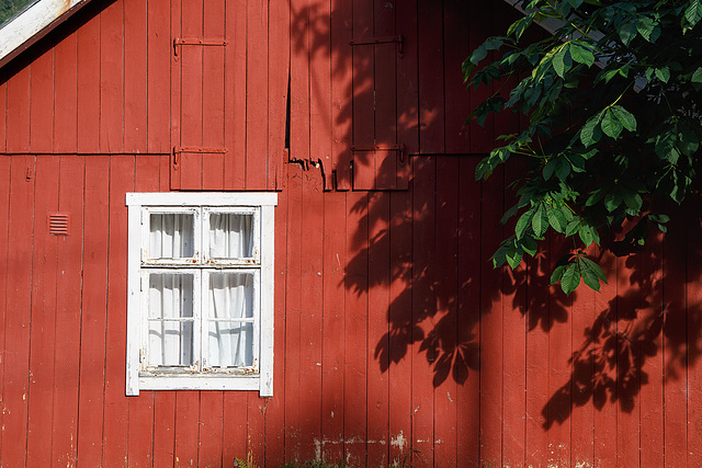 35/50 - In Fjærland