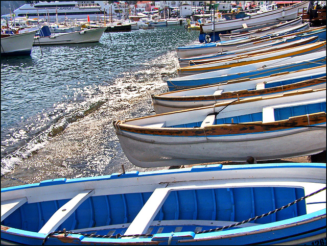 Capri : le barche a Marina Grande - (815)