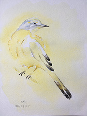 Aquarelle :" L'oiseau jaune " version 4