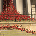 Weeping windows, St Georges Hall, Liverpool.