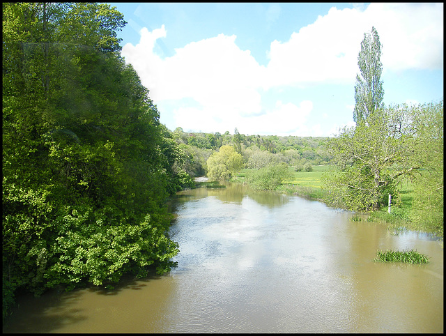 River Stour at Blandford