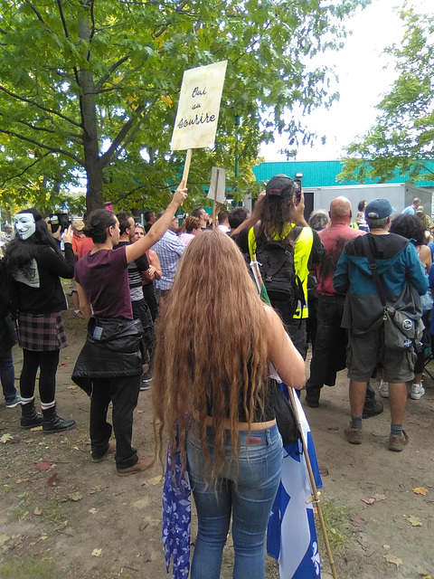 Manifestante fleurdelisante / Oui au sourire   (Québec)
