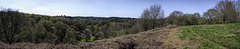 A panoramic view from high on Puttenham Common