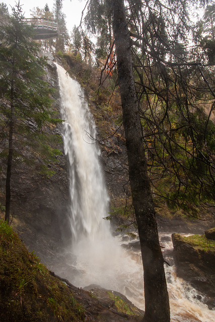 Plodda Falls