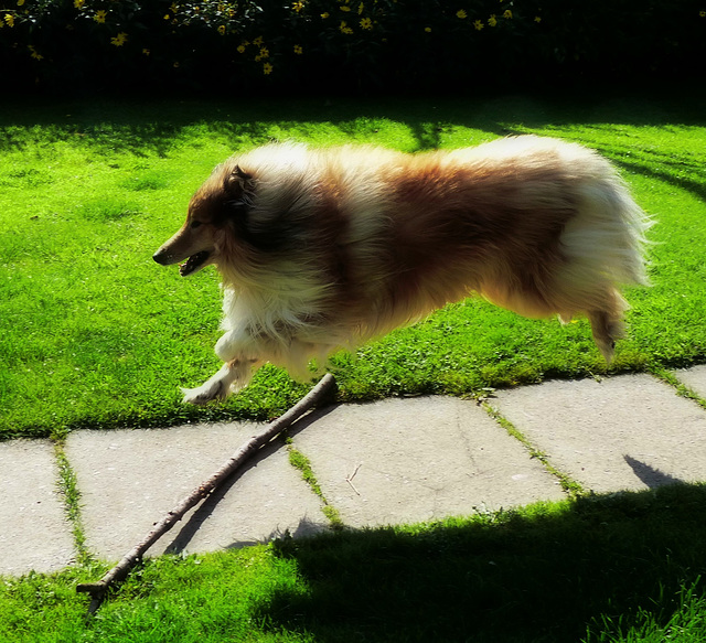 I Believe I Can Fly I Believe I Can Fly