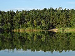 Pond Schinveld_NL