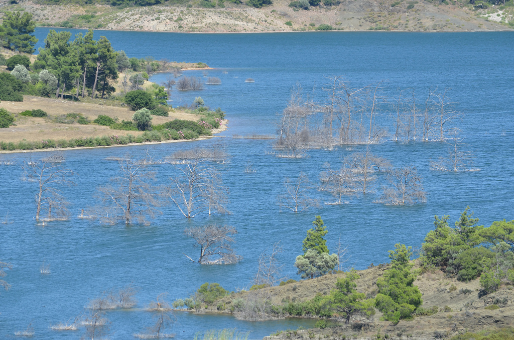 Rhodes, Trees Flooded in Gadoura Reservoir