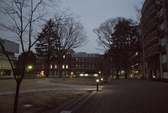 Night campus