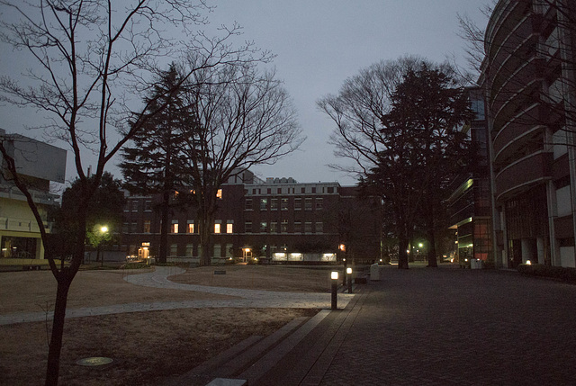 Night campus