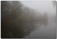 Misty day on the canal