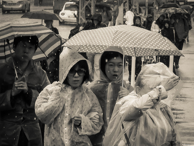 tourists in the rain