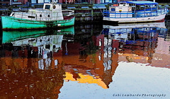 harbour reflections