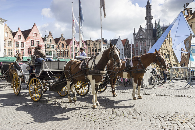 06 Grote Markt horse carriage 1
