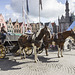 06 Grote Markt horse carriage 1