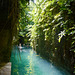 Mexico, Swimming in the Cenotes of Hacienda Mucuyche
