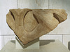 Iberian Triton Fragment in the Archaeological Museum of Madrid, October 2022