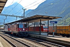 SBB und DB Lokomotiven im Bahnhof Erstfeld