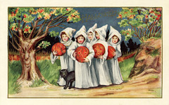 Halloween Jack-o'-Lanterns, White Robes, and a Black Cat
