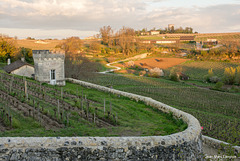 Saint-Emilion - Chateau La Clotte