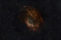 Lower's Nebula SH2-261