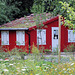 Red and White im NABU -Garten