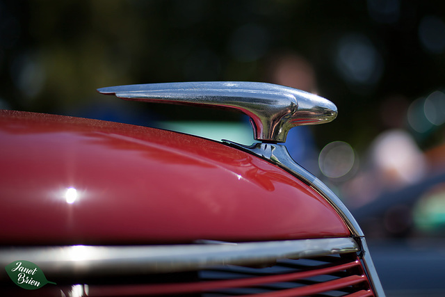 18/366: Hood Ornament