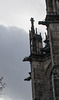 Cologne Cathedral gargoyle (#0519)