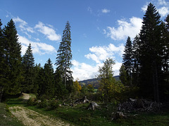 Wanderpanorama im Jura