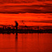 Grangemouth at sunset