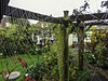 Pergola, fence and a spider's web