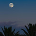 Mondaufgang bei São Roque (© Buelipix)