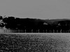 black + grey - a Photoshopped view of the Rampion Wind-farm, from Seaford beach.