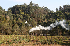 Freight operations at Caiziba