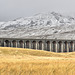 The Ribblehead Viaduct and Whernside