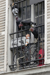 Les vautours sont entrés dans Paris