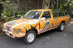 Camion safari