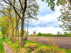 Windmühle bei Hagenow-Heide