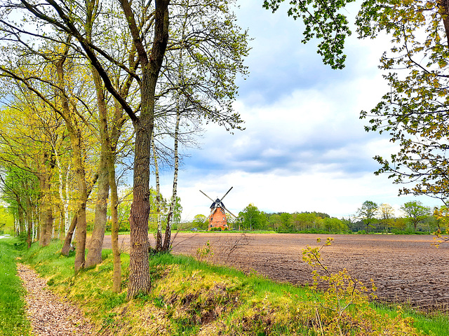 Windmühle bei Hagenow-Heide