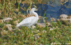 Snowy Egret - Topaz Impressionistic Impasto I