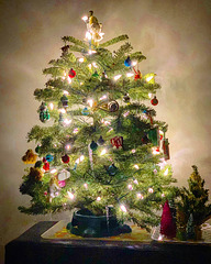 our tiny Christmas Tree