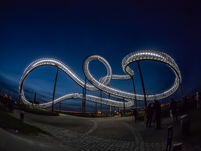 Tiger and Turtle in fading Blue Hour Light (300°)