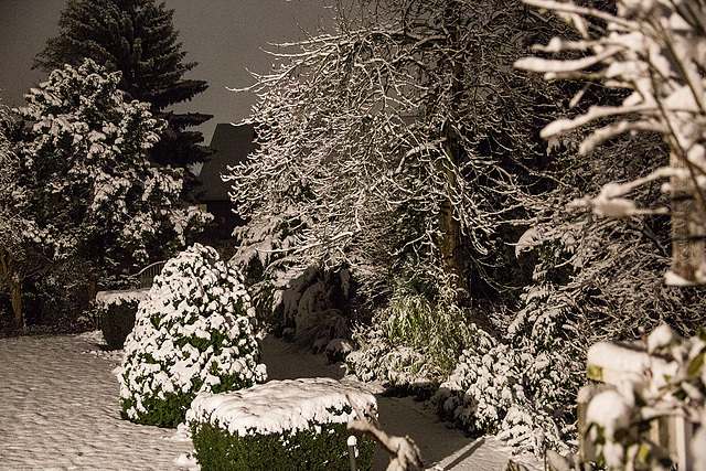 20150131 6749VRAw [D~RI] Schnee, Rinteln