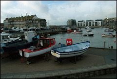 harbour carbuncles